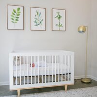 Baby mod outlet marley crib